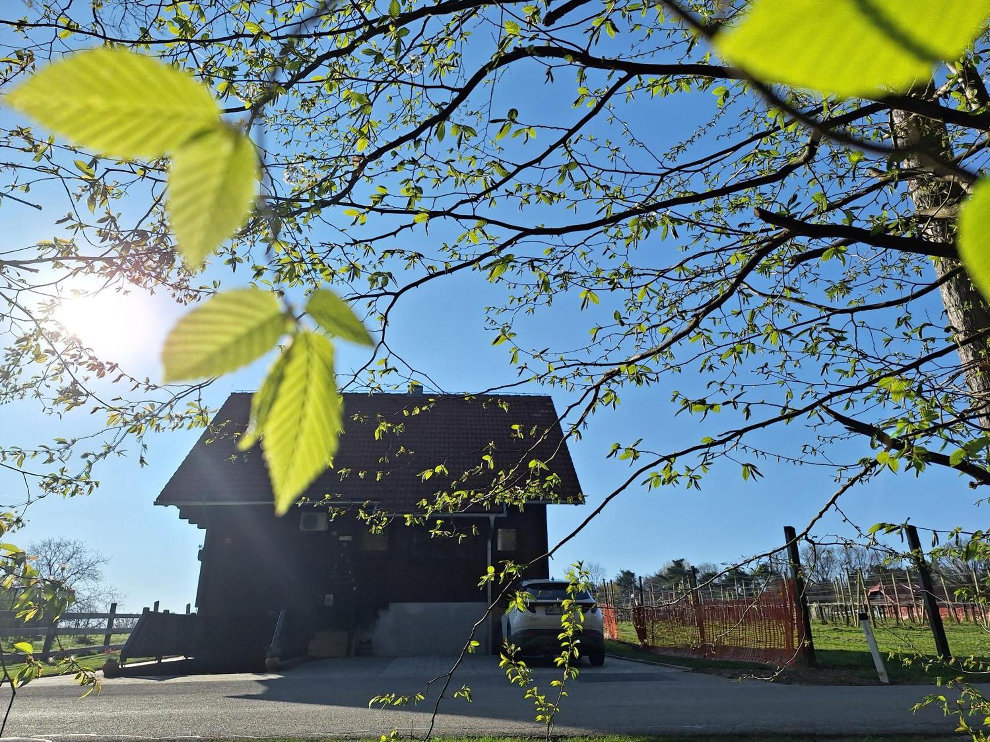 Villa Logarska Koca Fokovci Exterior foto